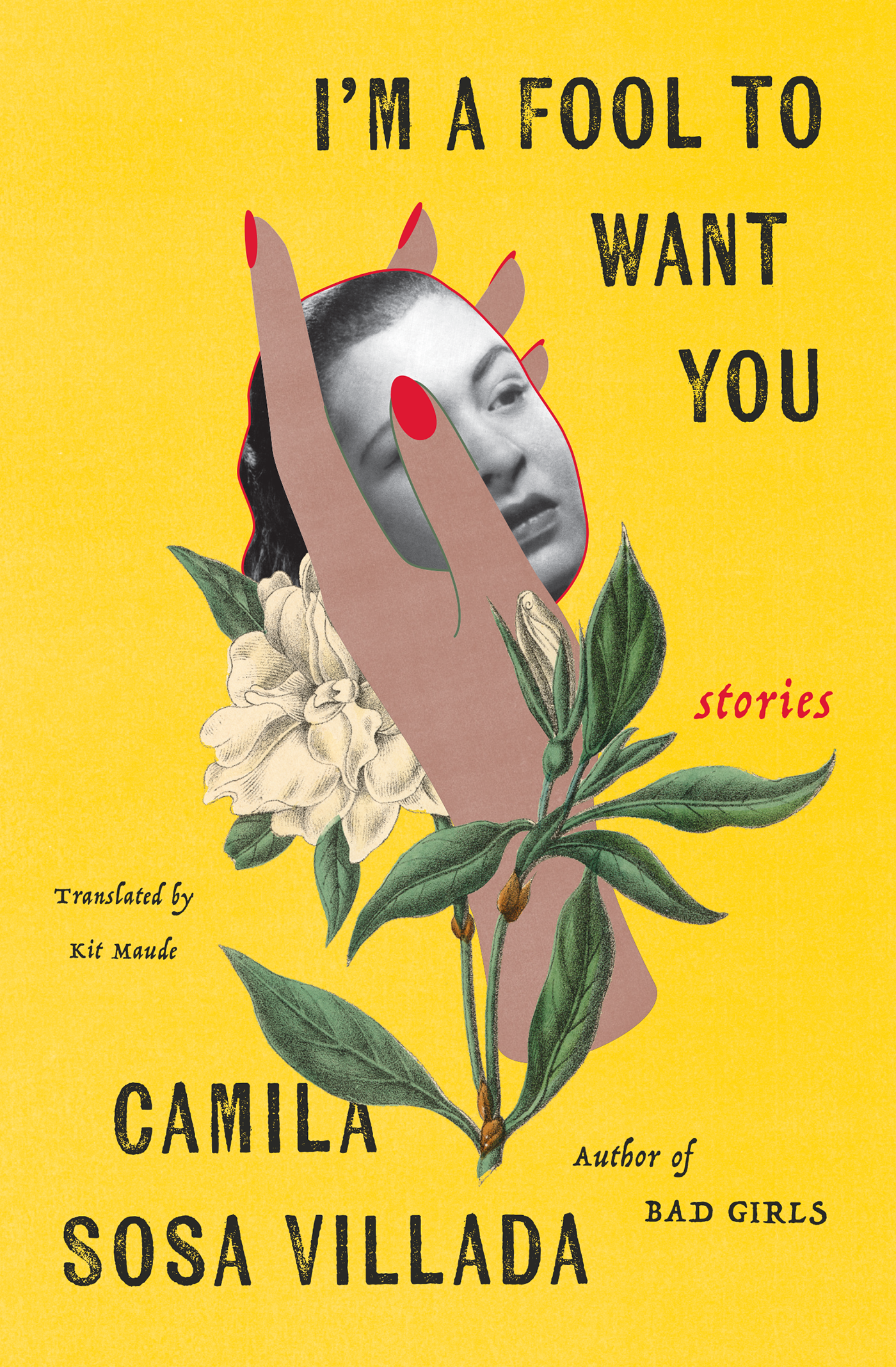 Cover image for I'm a Fool for Loving You by Camila Sosa Villada