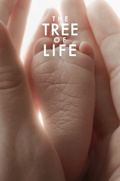 Cover image for The Tree of Life