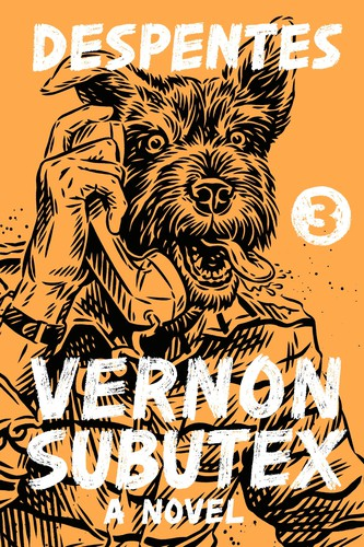 Cover for Vernon Subutex 3 A Novel.