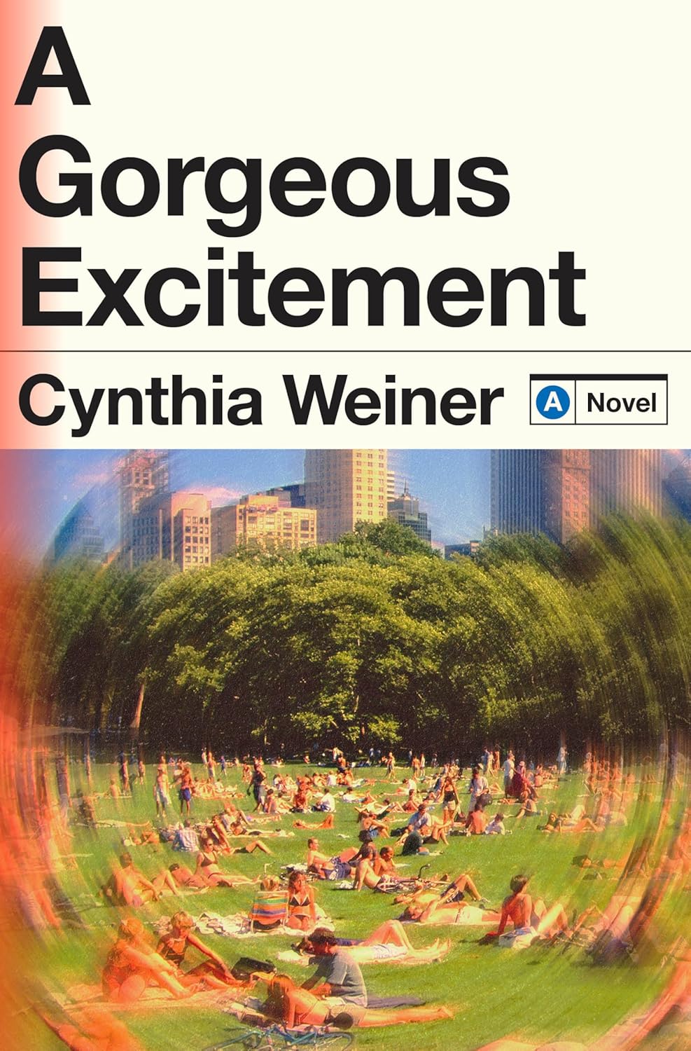 Cover image for A Gorgeous Excitement: A Novel by Cynthia Weiner