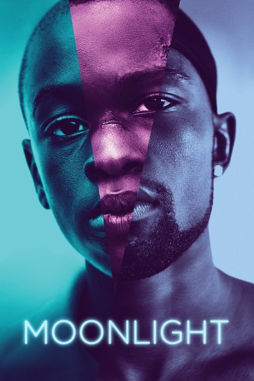 Cover image for Moonlight