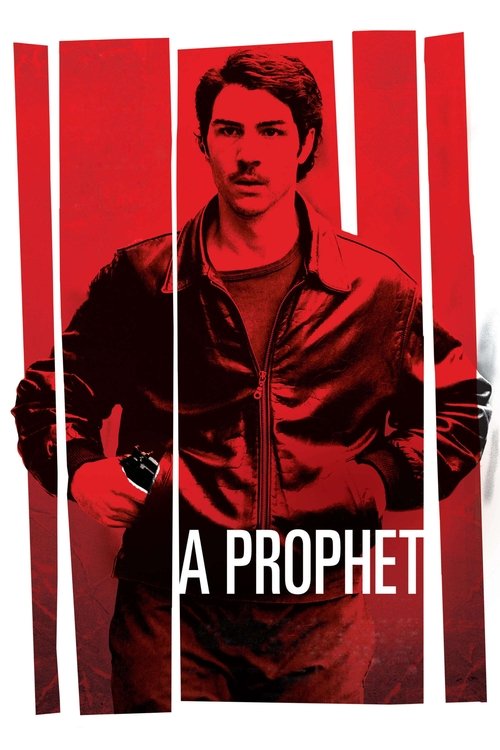 Cover image for A Prophet