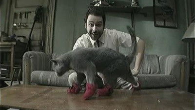 Cover image for Paddy's Pub: Home of the Original Kitten Mittens